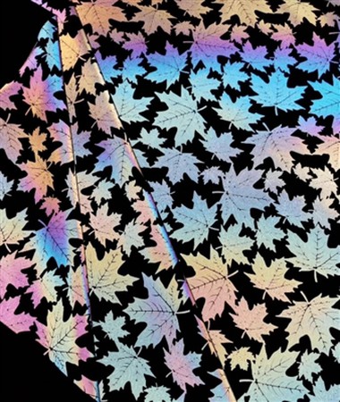 Twal konpoze meditativ kolore