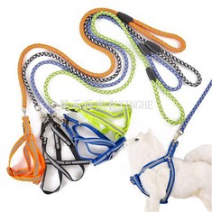 Reflektif bèt kay chen laisse